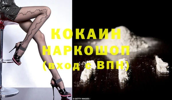 гашик Надым