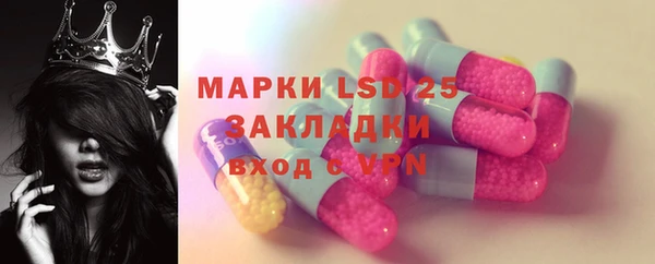 гашик Надым