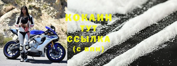 гашик Надым