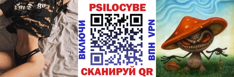 сколько стоит  Советск  Псилоцибиновые грибы мицелий 