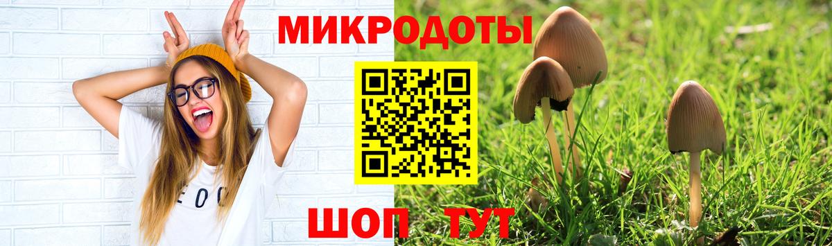 Галлюциногенные грибы ЛСД  Вход с VPN  Советск 